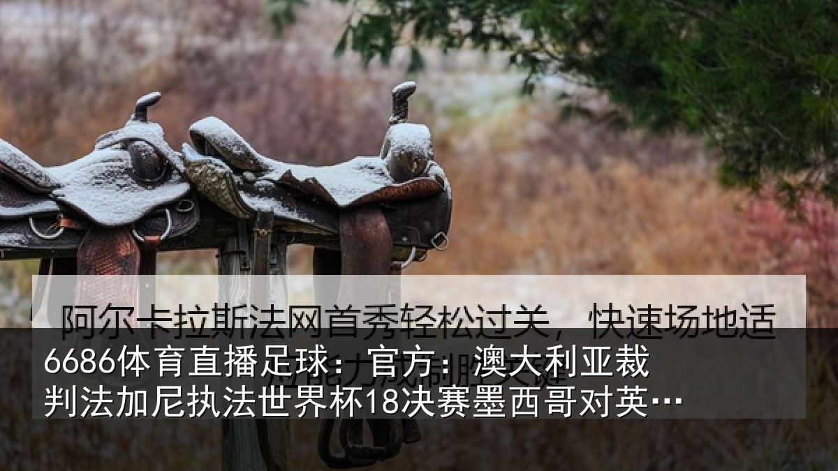 6686体育直播足球：官方：澳大利亚裁判法加尼执法世界杯18决赛墨西哥对英格兰