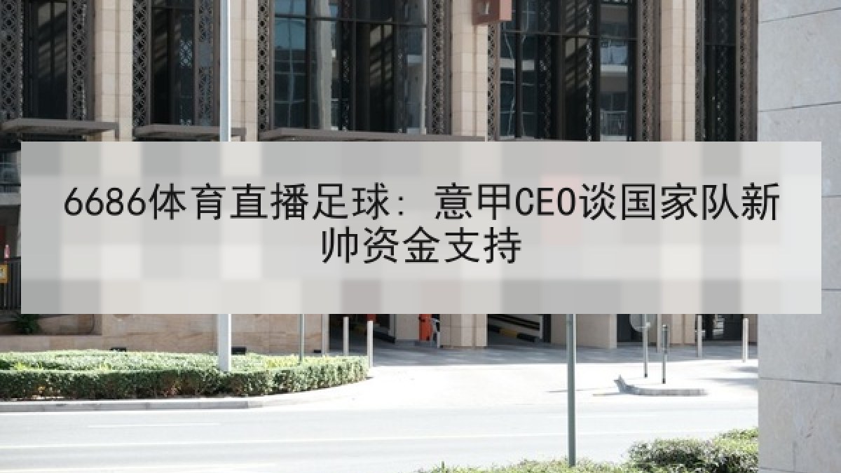 6686体育直播足球: 意甲CEO谈国家队新帅资金支持