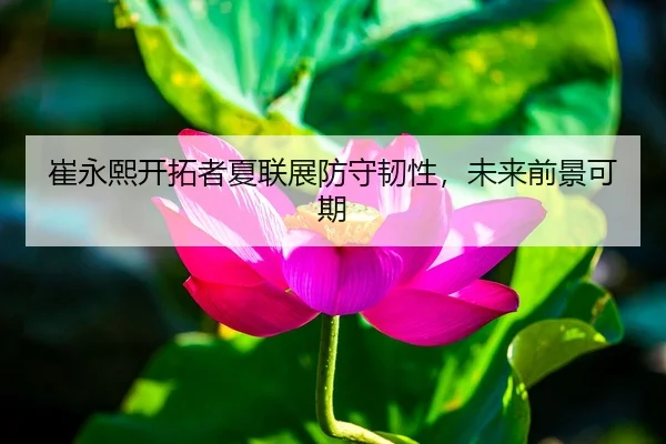 崔永熙开拓者夏联展防守韧性，未来前景可期