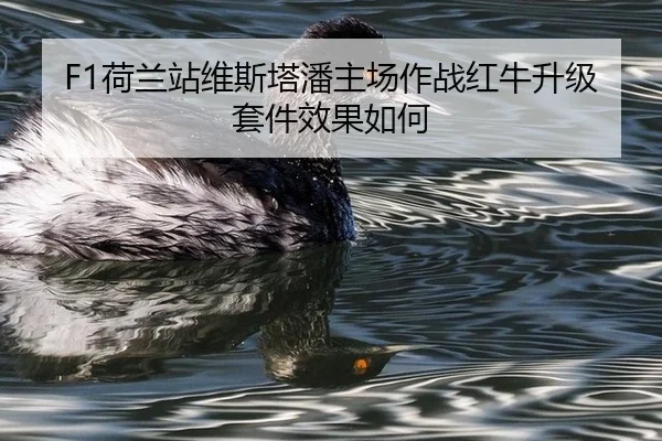 F1荷兰站维斯塔潘主场作战红牛升级套件效果如何