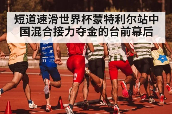 短道速滑世界杯蒙特利尔站中国混合接力夺金的台前幕后